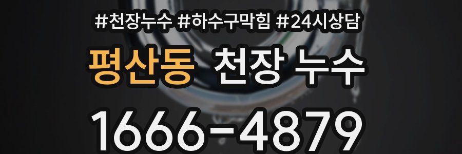 평산동 천장 누수