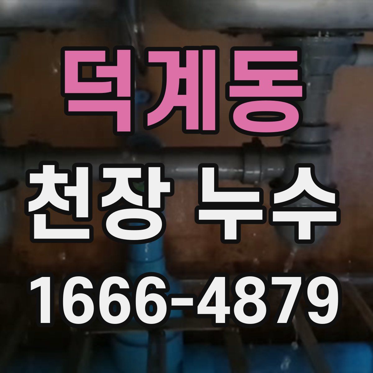 덕계동 천장 누수