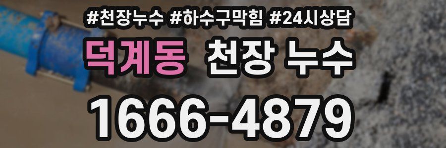 덕계동 천장 누수