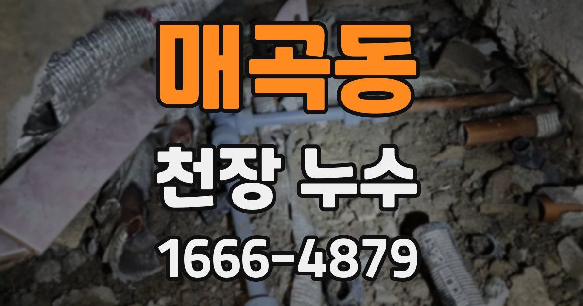 매곡동 천장 누수