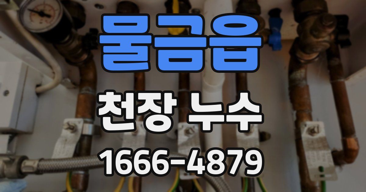 물금읍 천장 누수