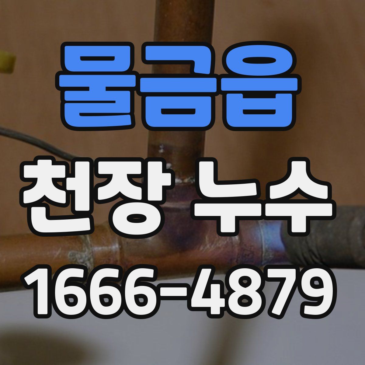 물금읍 천장 누수