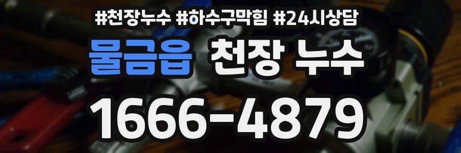 물금읍 천장 누수