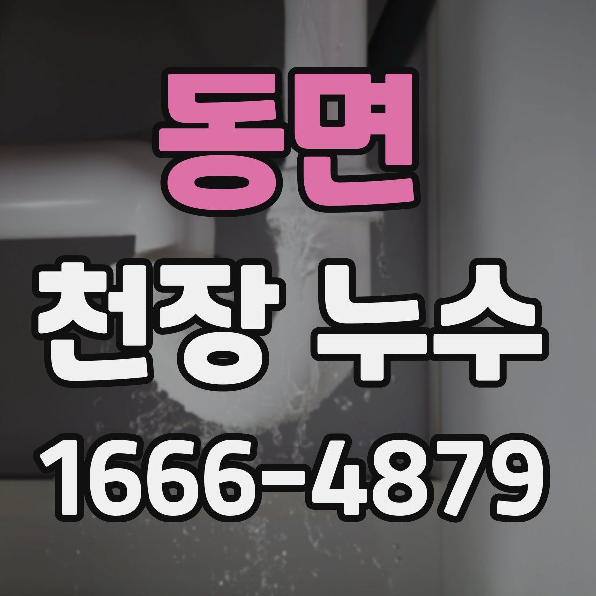 동면 천장 누수