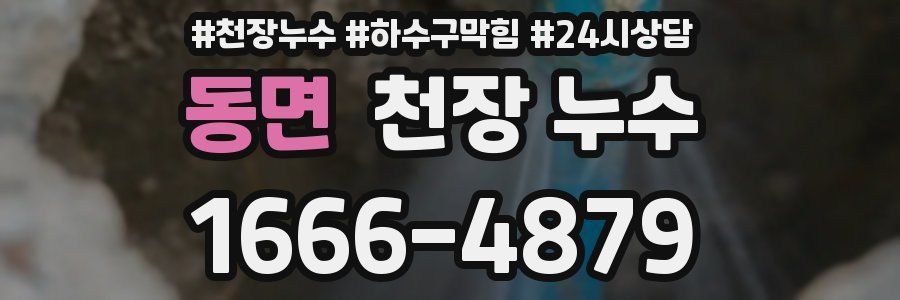 동면 천장 누수