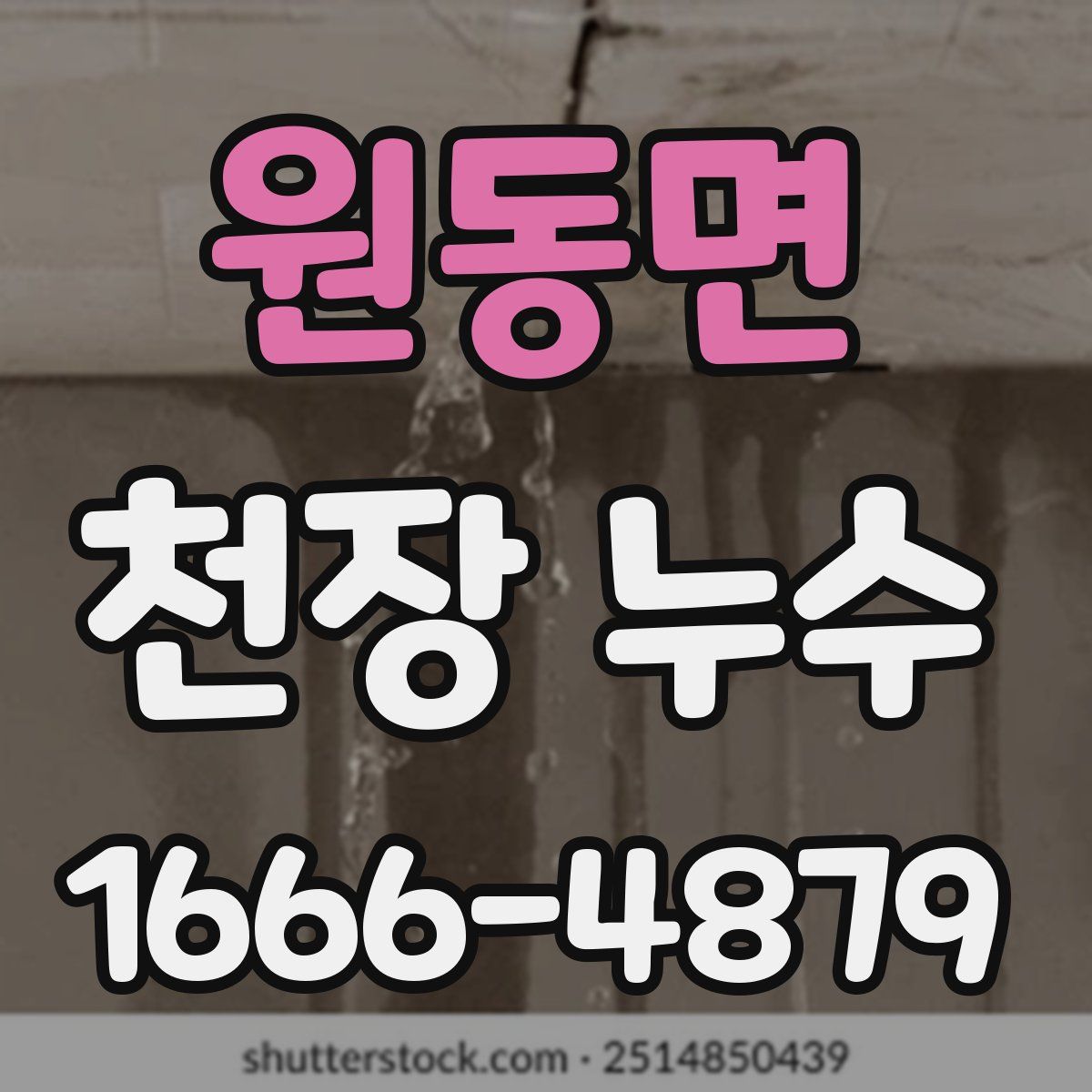 원동면 천장 누수