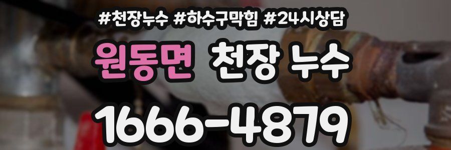 원동면 천장 누수