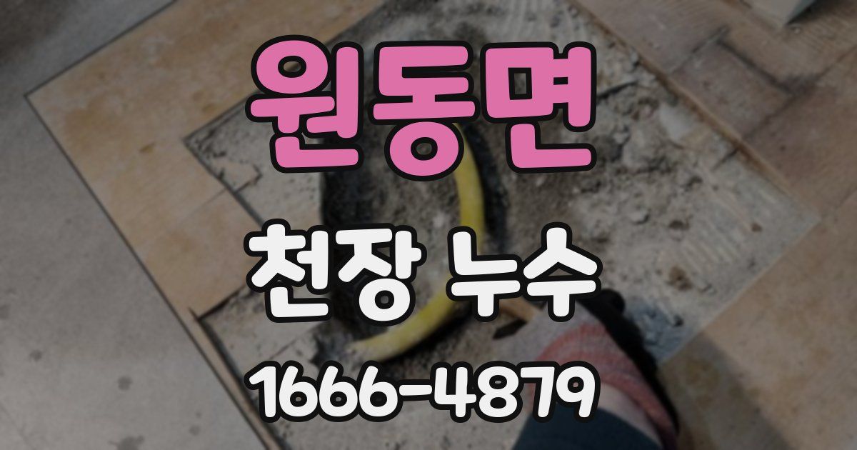 원동면 천장 누수