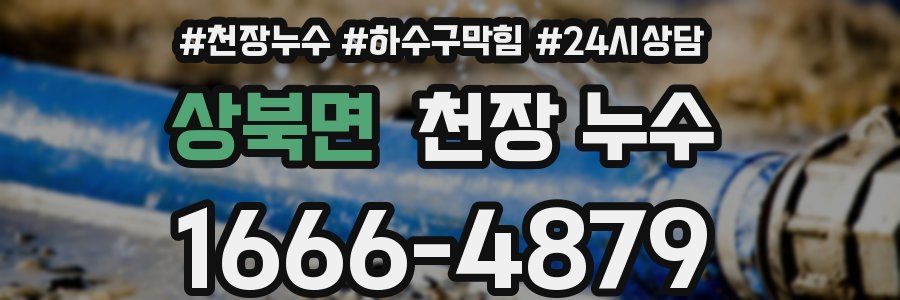 상북면 천장 누수