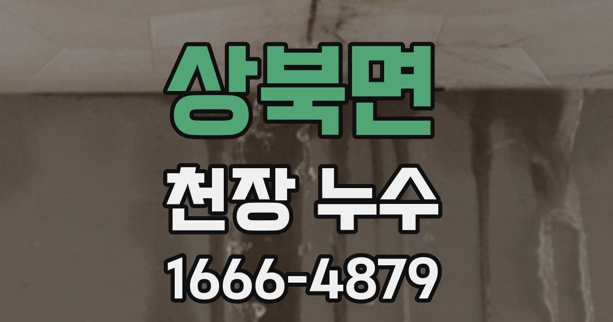 상북면 천장 누수