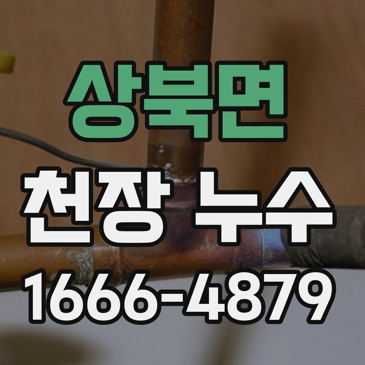 상북면 천장 누수