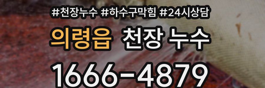 의령읍 천장 누수