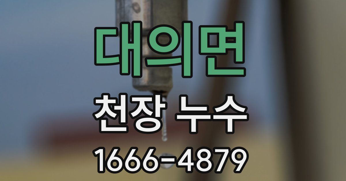 대의면 천장 누수