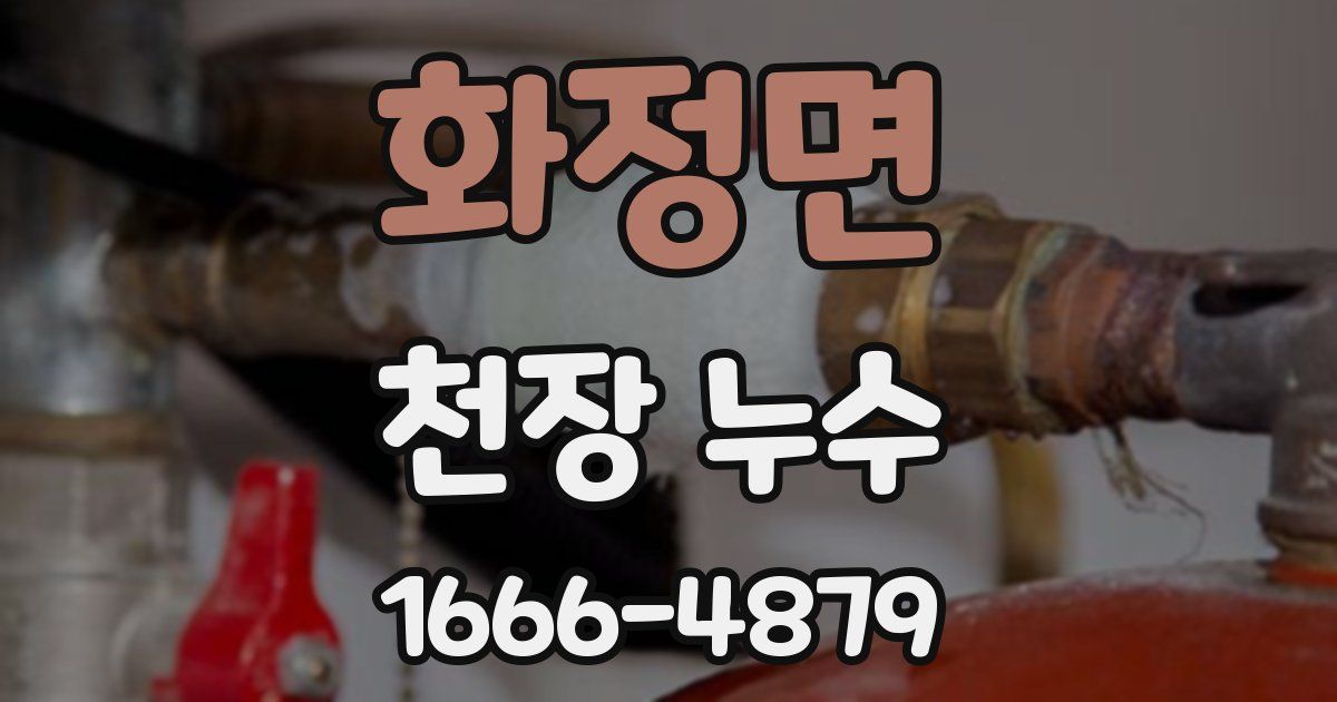 화정면 천장 누수