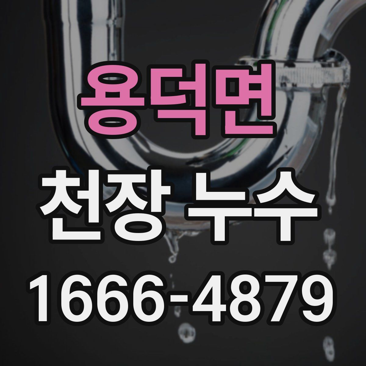 용덕면 천장 누수