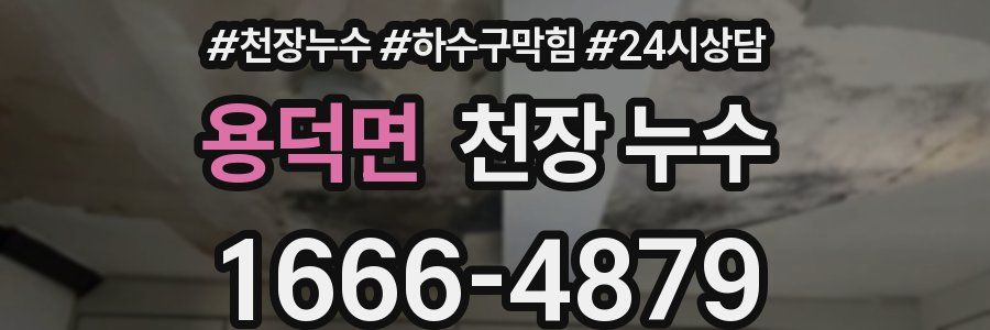 용덕면 천장 누수