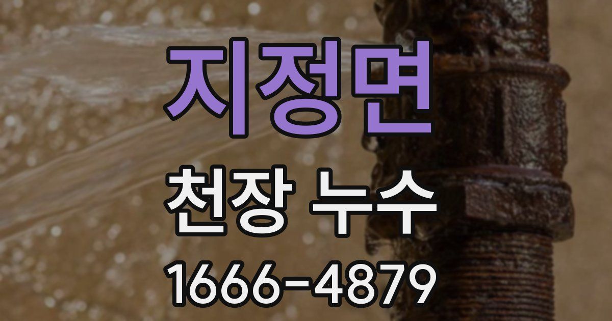 지정면 천장 누수