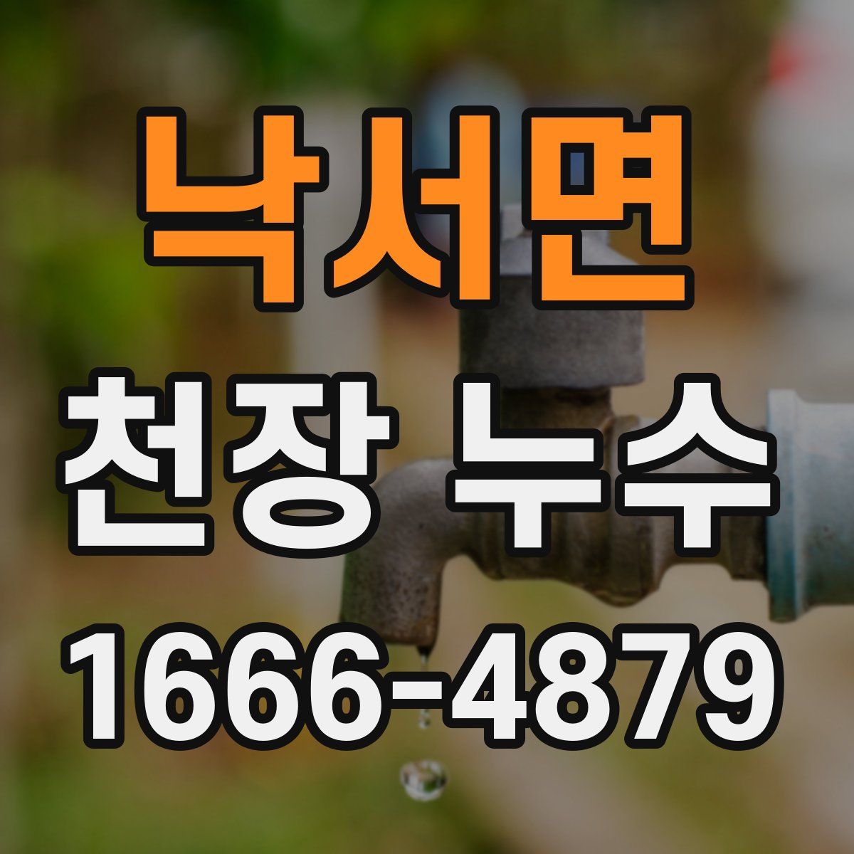 낙서면 천장 누수