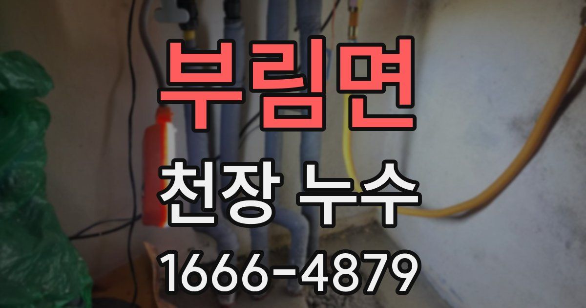 부림면 천장 누수