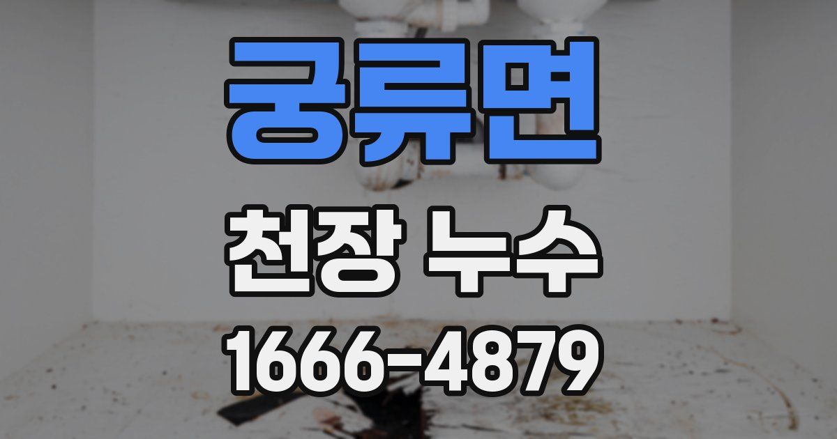 궁류면 천장 누수
