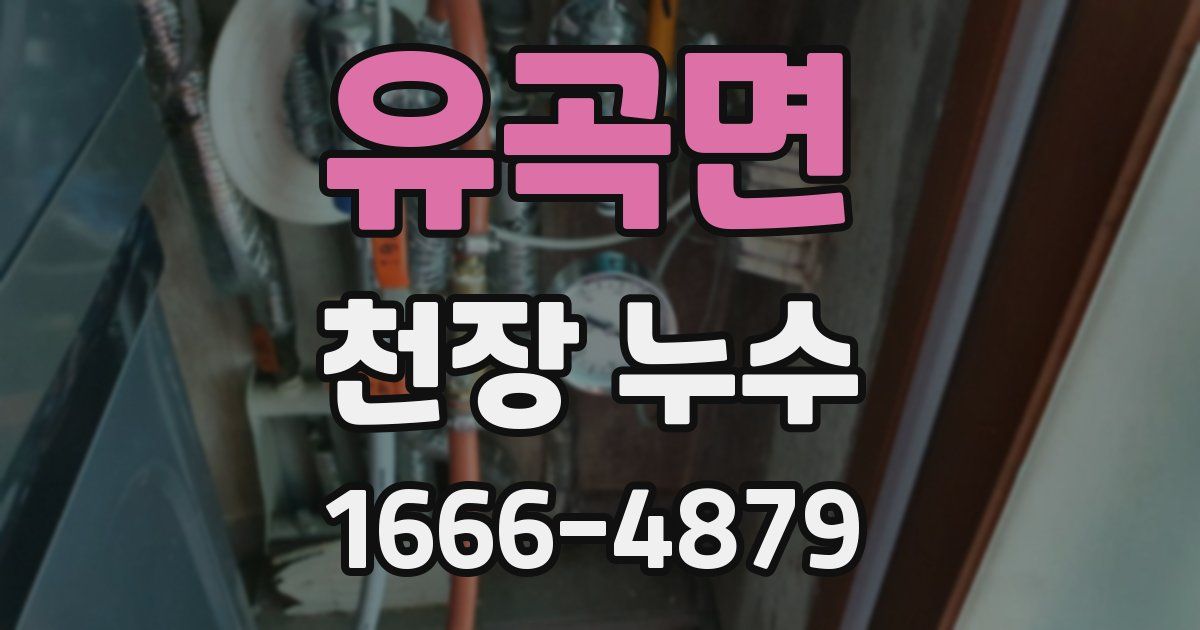 유곡면 천장 누수