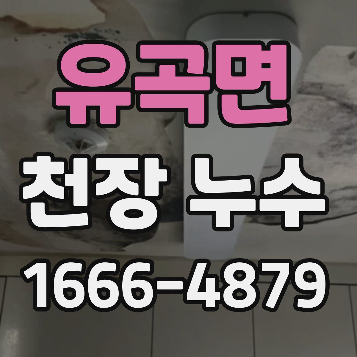 유곡면 천장 누수