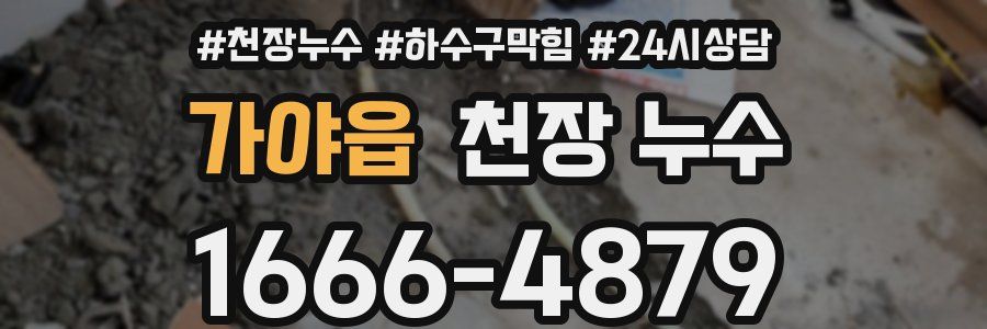 가야읍 천장 누수