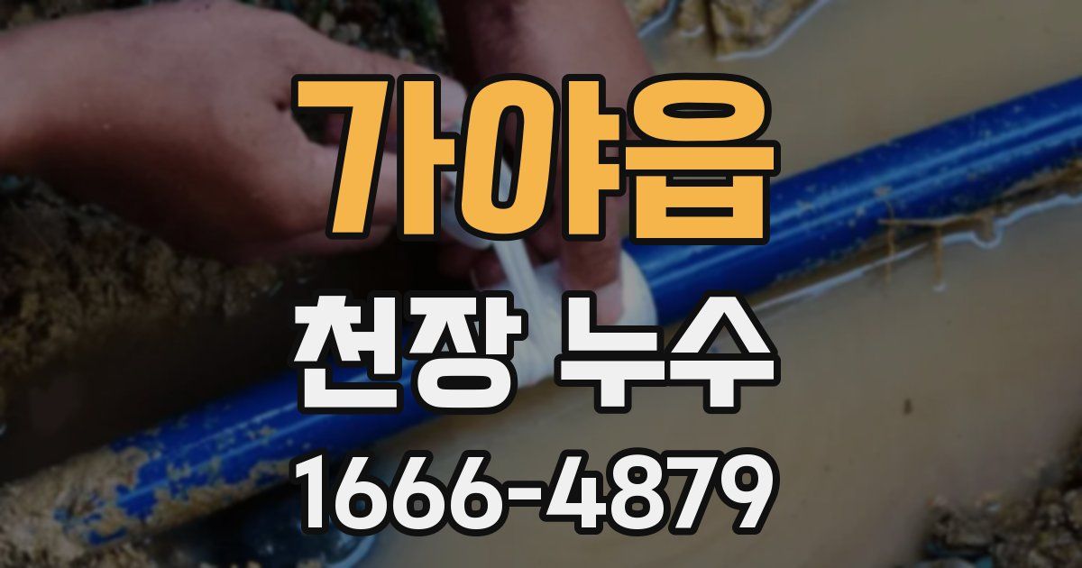 가야읍 천장 누수