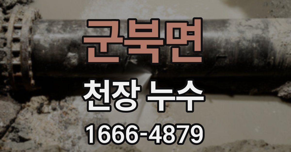 군북면 천장 누수