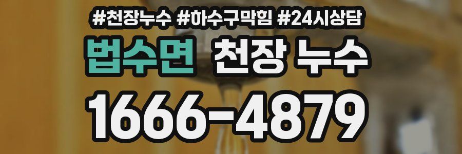 법수면 천장 누수