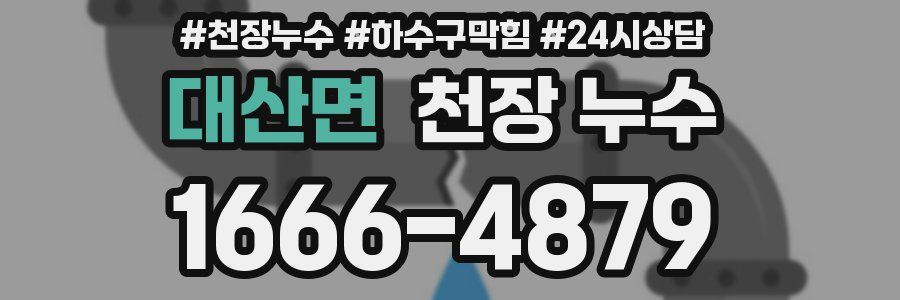 대산면 천장 누수