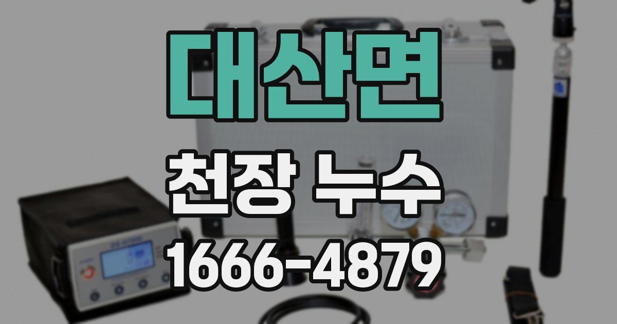 대산면 천장 누수