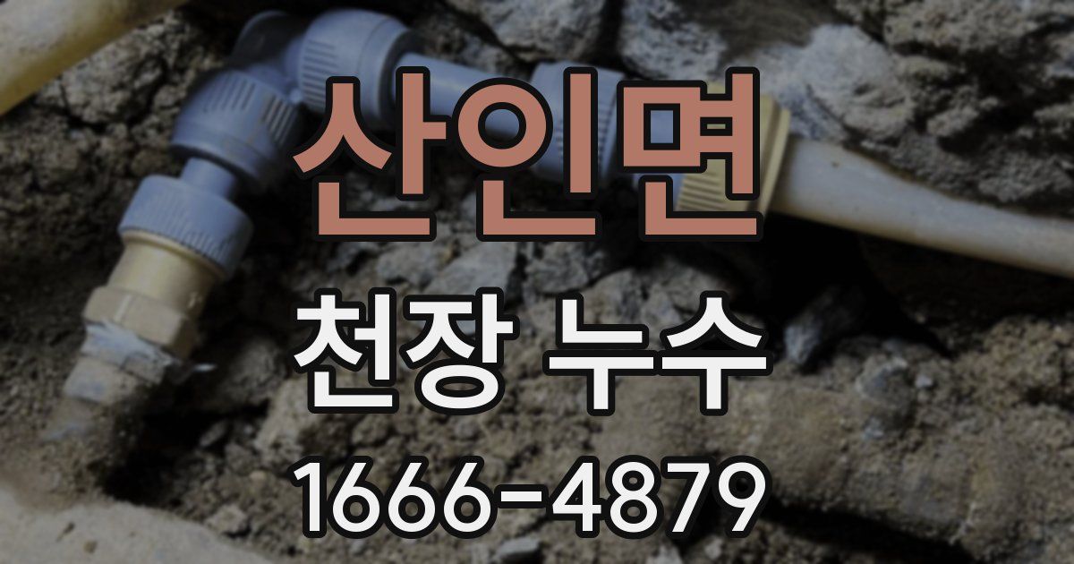 산인면 천장 누수