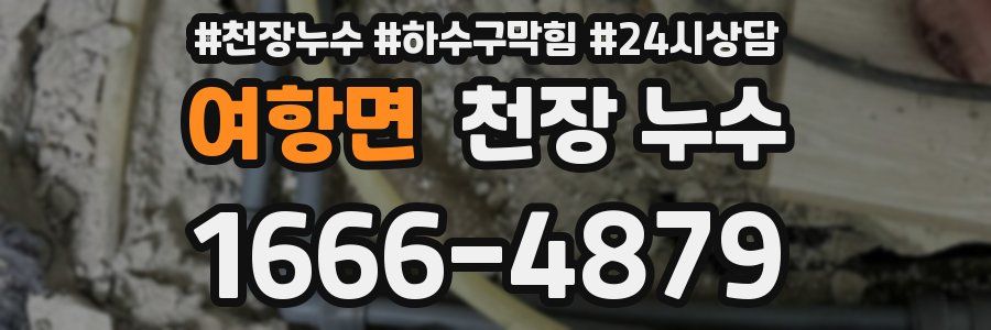 여항면 천장 누수