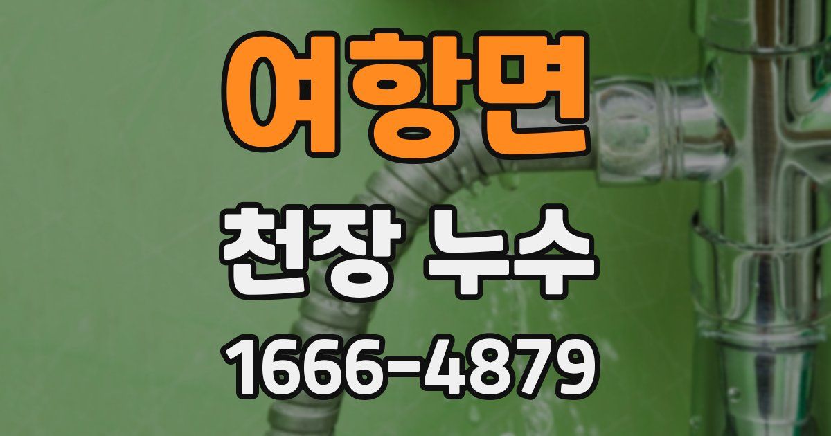 여항면 천장 누수