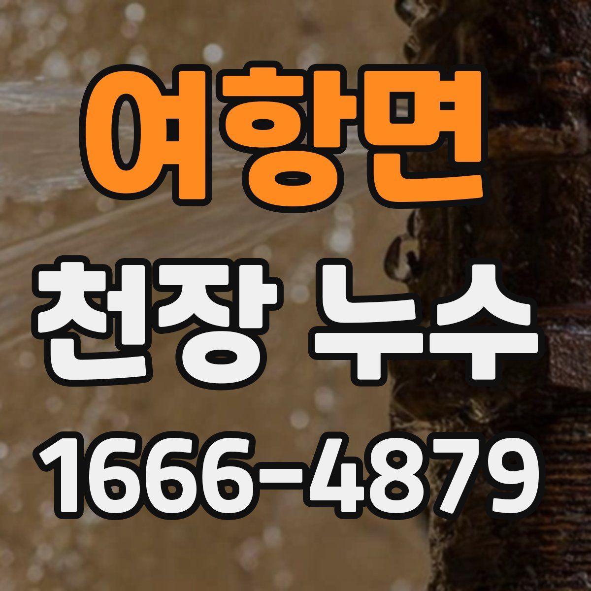 여항면 천장 누수