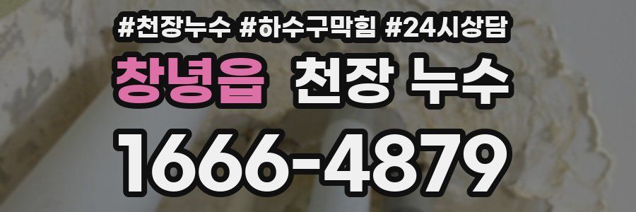 창녕읍 천장 누수