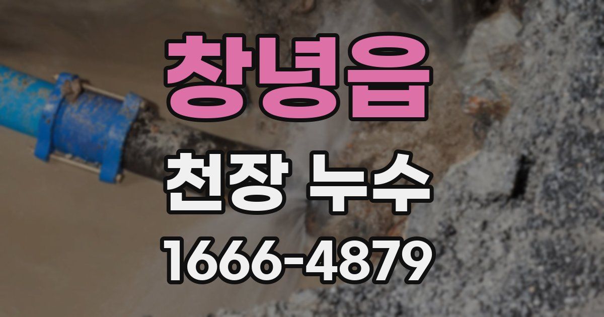 창녕읍 천장 누수