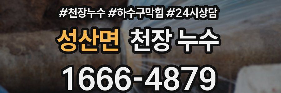 성산면 천장 누수