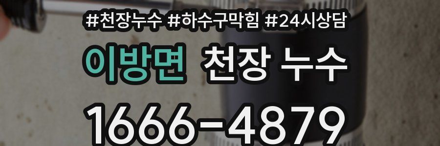 이방면 천장 누수
