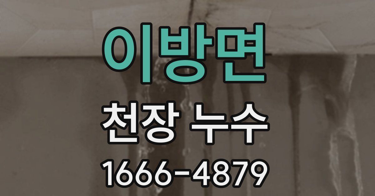 이방면 천장 누수