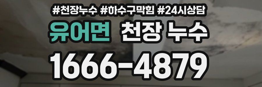 유어면 천장 누수
