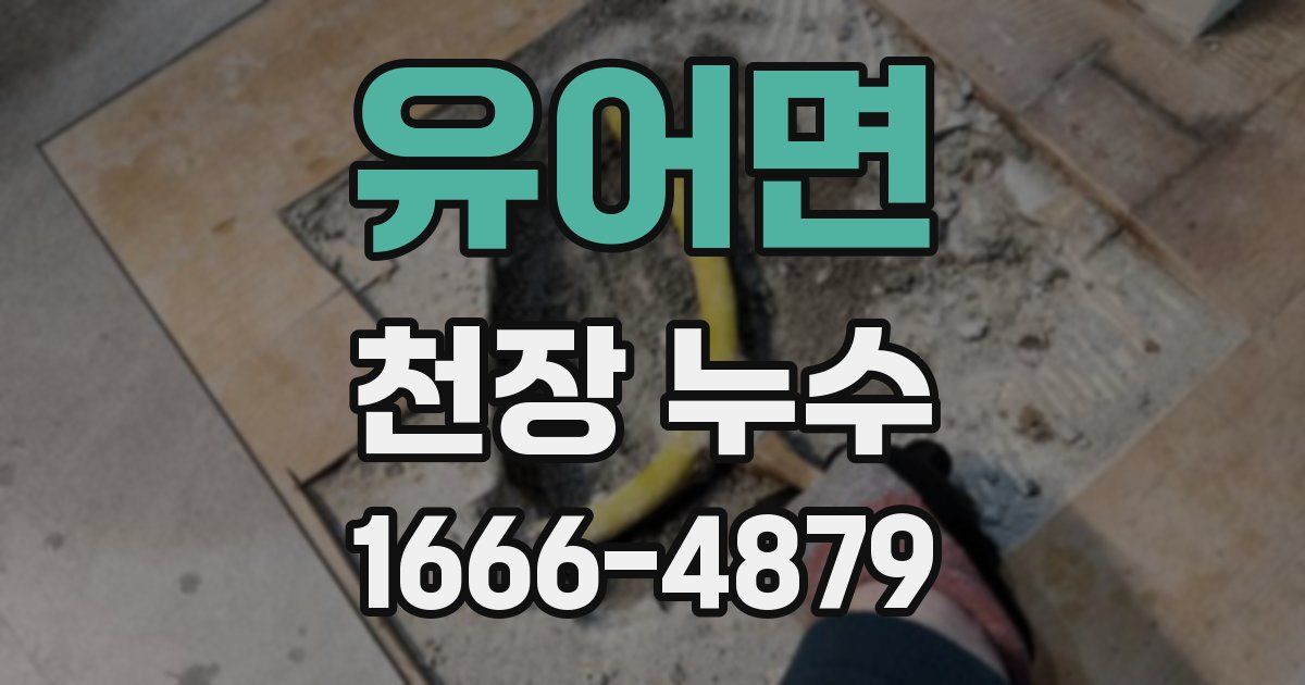 유어면 천장 누수