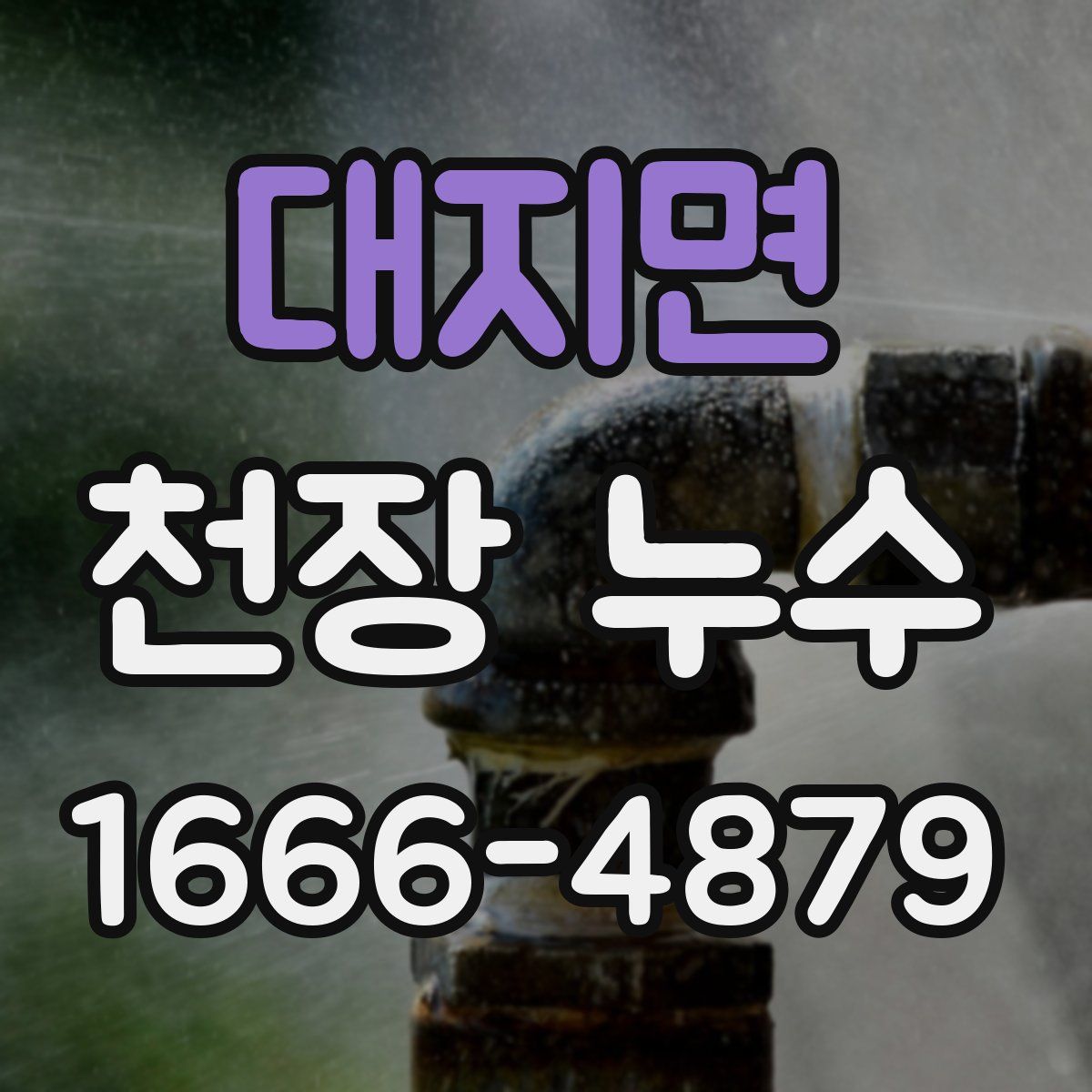 대지면 천장 누수