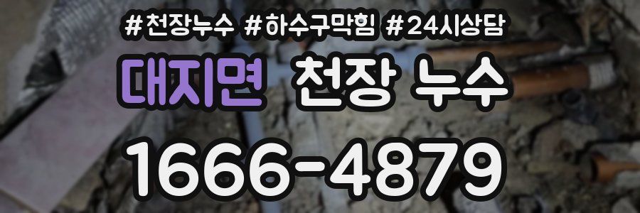 대지면 천장 누수