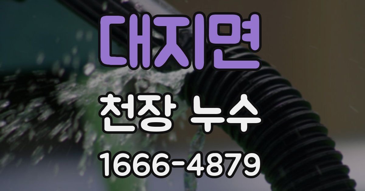 대지면 천장 누수