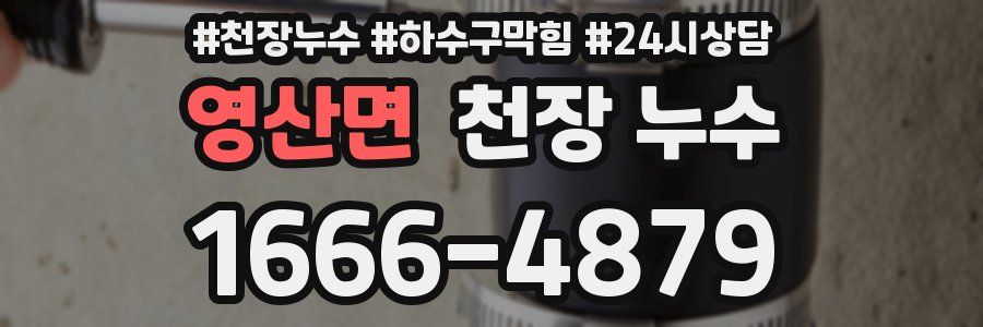 영산면 천장 누수