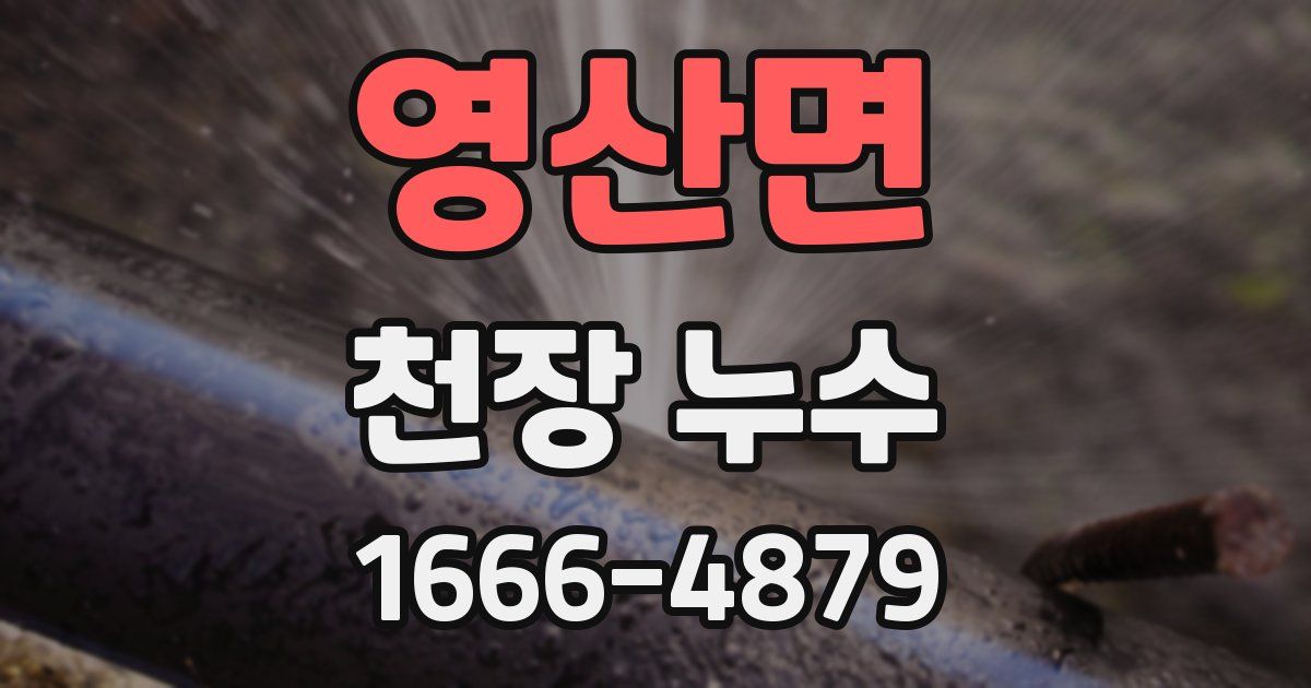 영산면 천장 누수