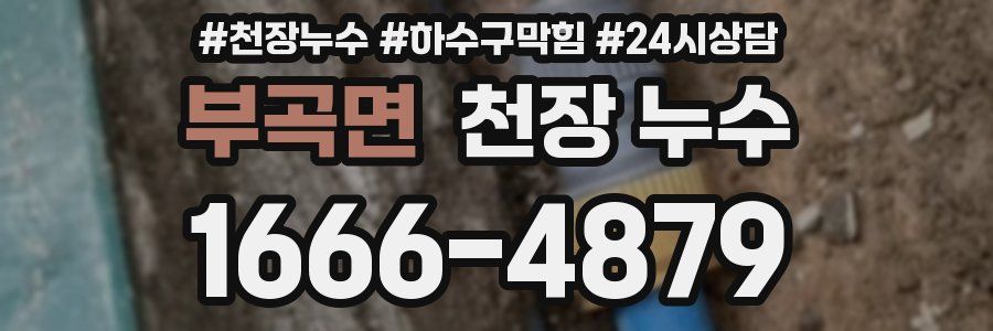 부곡면 천장 누수