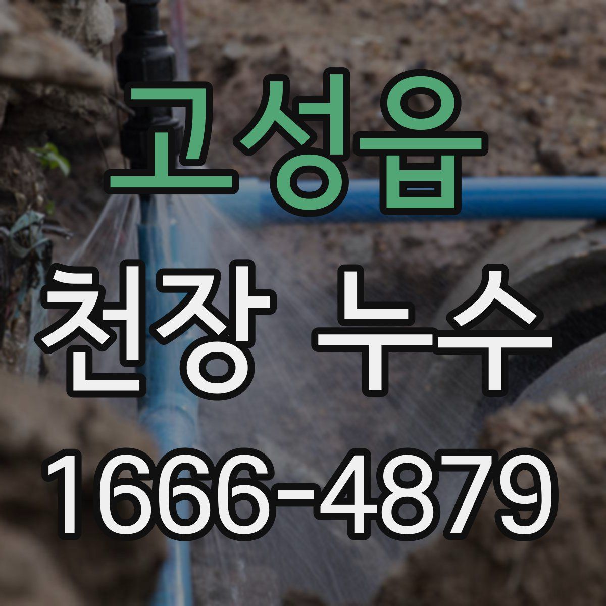 고성읍 천장 누수